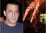 Salman Khan shares 'Antim' screening video, Asks fans to avoid firecrackers inside theatres