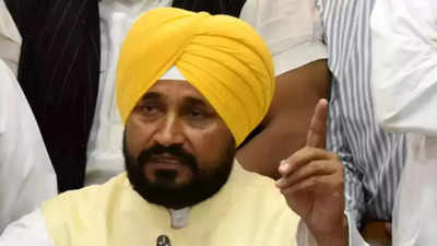 Wipe out AAP, SAD in assembly polls, says Punjab CM Charanjit Singh Channi