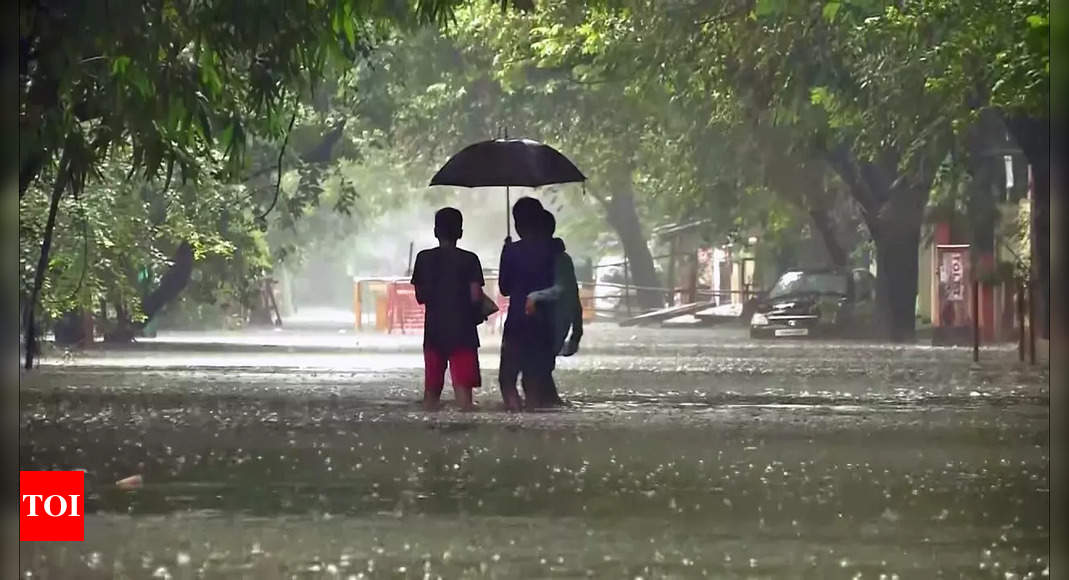 Tamil Nadu Rains Live Updates: MK Stalin Inspects Flood-affected Areas ...