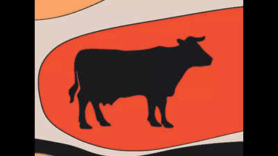 Farmers to soon get ‘sexed semen’ to increase female calf population