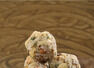 How to make Gond ke Laddoo