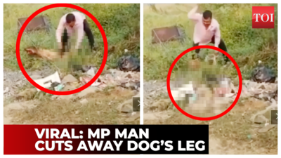 Viral: Man attacks dog, cuts away its leg while still alive