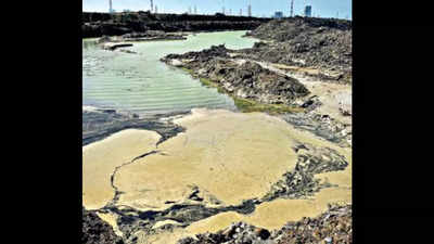 Tamil Nadu: Tangedco advised against using old pipes for ash slurry