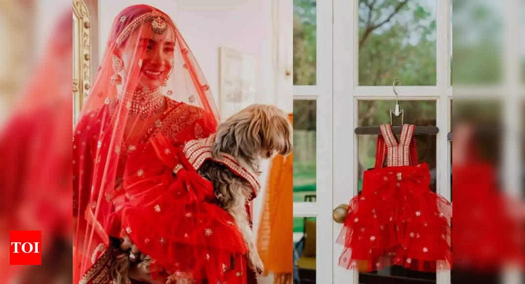 Did you miss the twinning story of Patralekhaa and her Paw-Friends?
