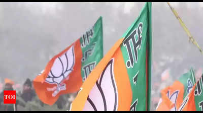 BJP stages protest demanding fuel VAT cut in Tamil Nadu