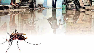 Blockbuster surge in dengue cases in Ahmedabad