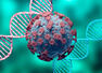 How strong is the new variant of coronavirus
