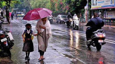 South Gujarat districts under wet spell