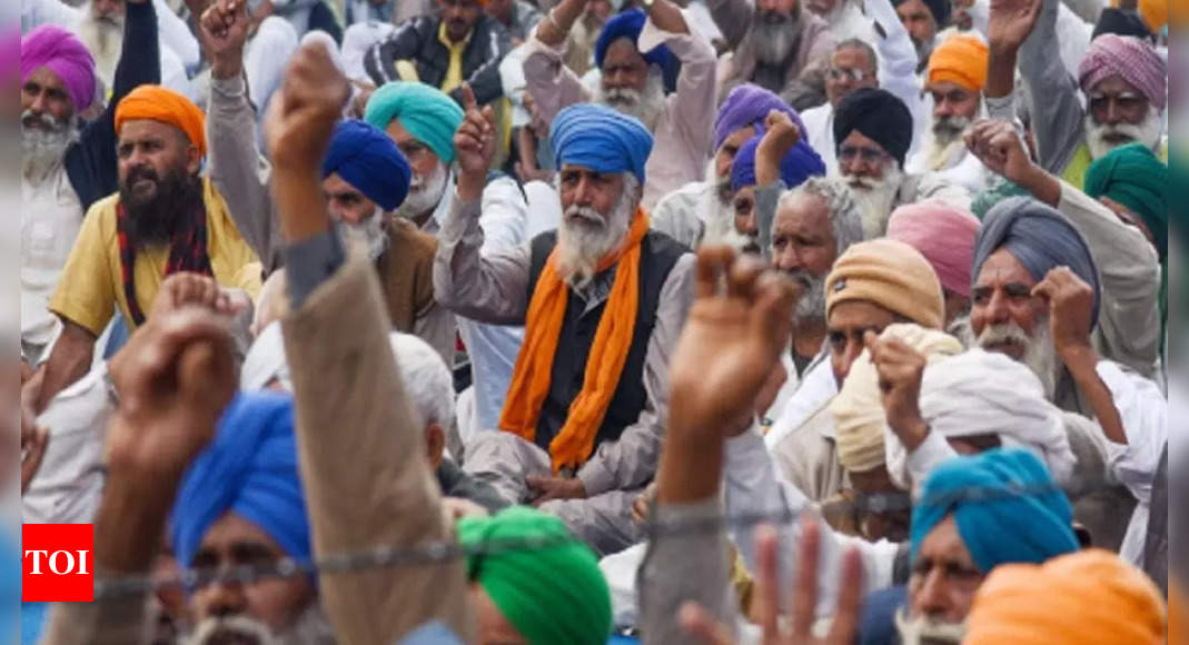 Punjab: Punjab: Farmer groups all for continuing protest, another meet ...