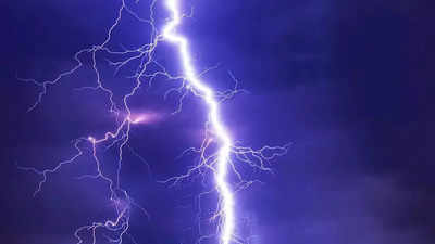 Goa records least lightning deaths