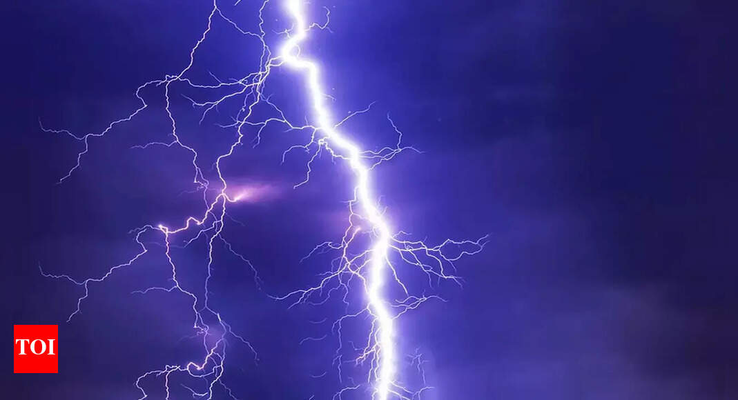 Goa records least lightning deaths | Goa News - Times of India Goa records least lightning deaths | Goa News - Times of India