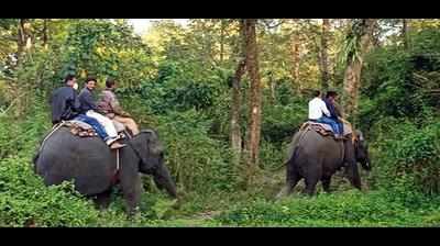 Now, book your Gorumara elephant safari online