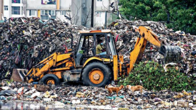 Chennai stinks as garbage remains piled up for days