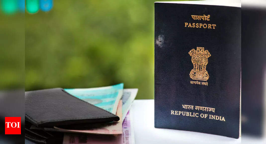 Decoded: Why are Indians giving up their citizenship - Times of India