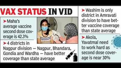 Only Bhandara and Gondia have 50%+ 2nd dose coverage in Vidarbha