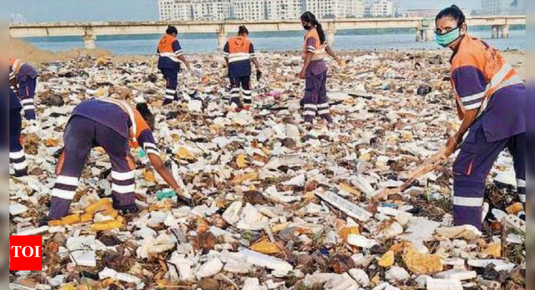 Chennai: Over 200 tonnes of garbage cleared from Broken Bridge ...