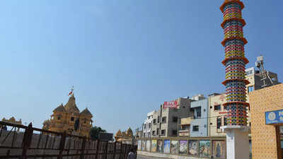 Nest faith: Gujarat's Somnath Temple Trust seeks pigeon pundits