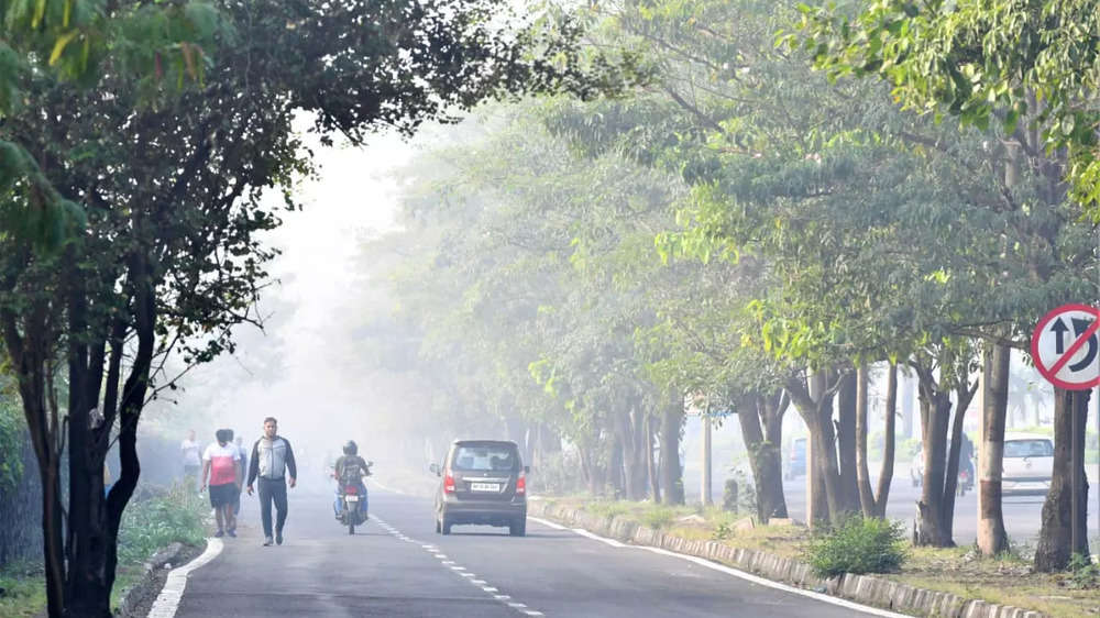 In Pics: Dense Fog Engulfs Mumbai, Visibility Dips | The Times Of India