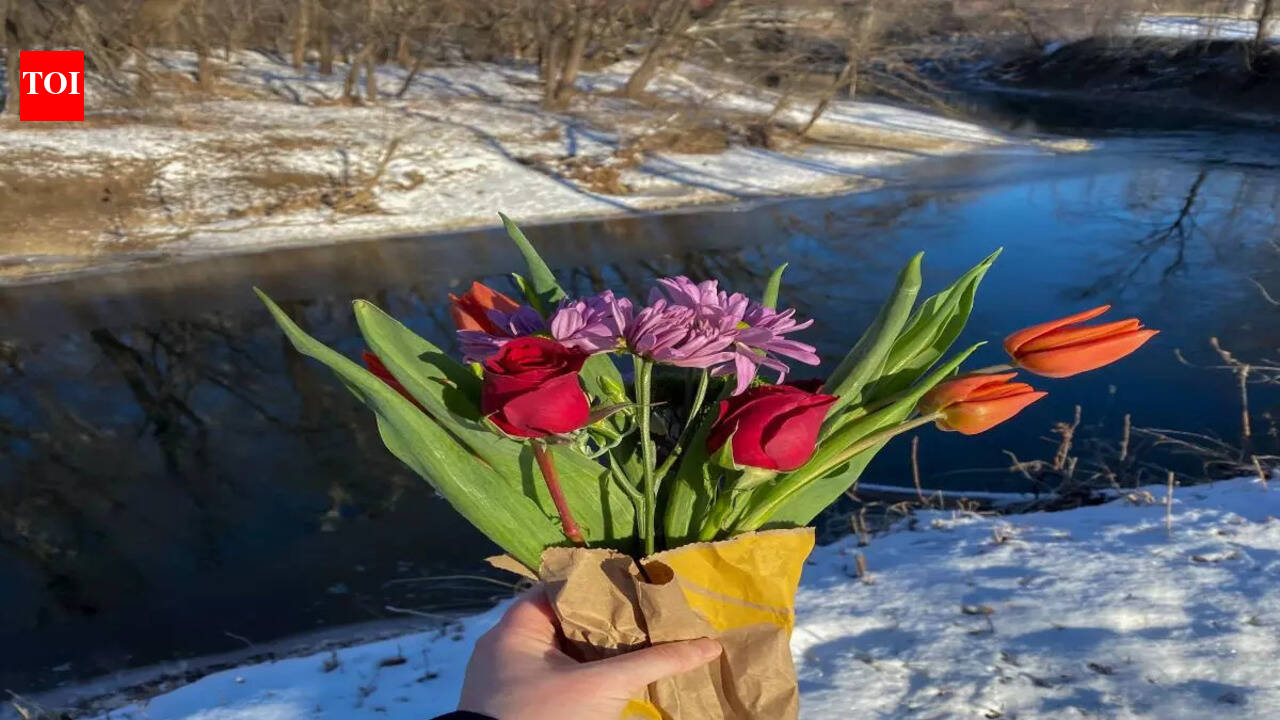 Guide for all the December plants