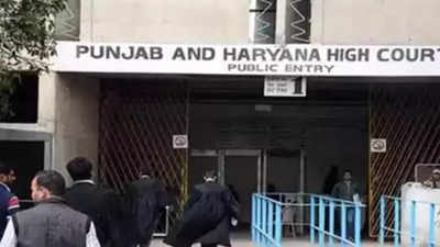 Punjab and Haryana high court halts assistant professors appointment process
