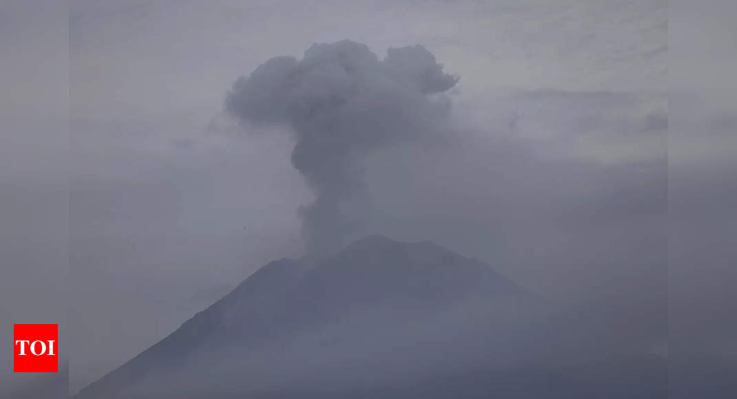 indonesia-semeru-volcanic-eruption-kills-13-10-evacuated-times-of-india