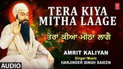 Bhakti Song 2021: Watch Latest Punjabi Bhakti Song &lsquo;Tera Kiya Meetha Laage&rsquo; Sung By Amrit kaliyan