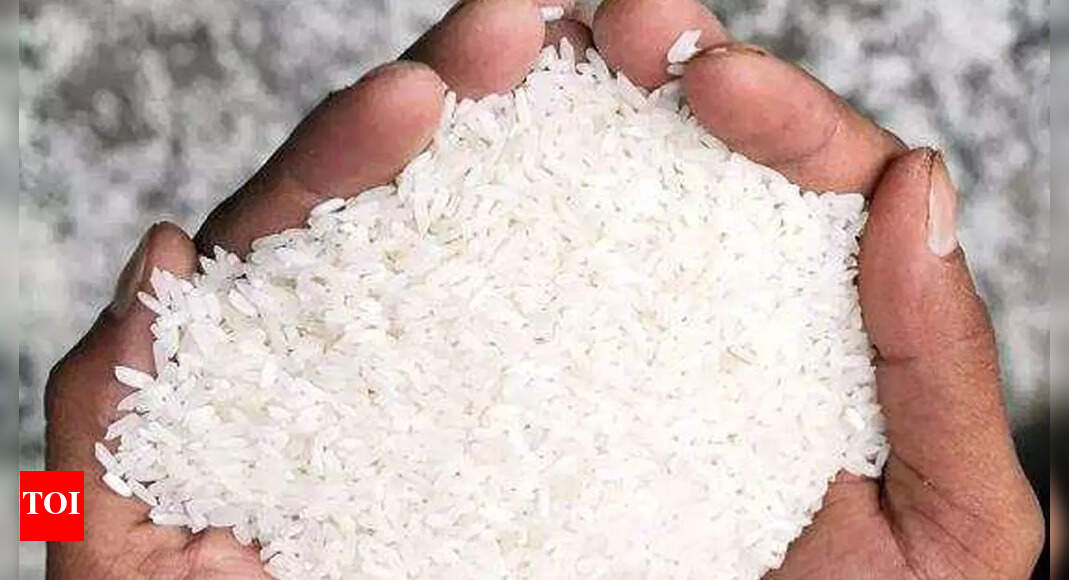 Seeds of hope: Saline-proof rice debuts in Bengal, to cut farmers ...