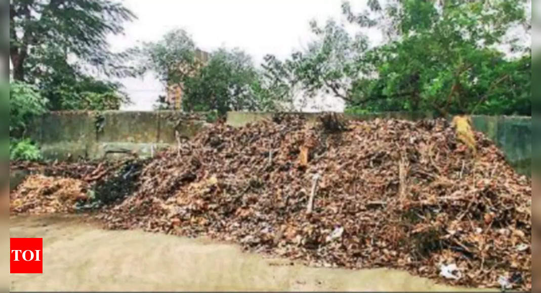 Kol: Rain washes vat garbage into Sarobar water body