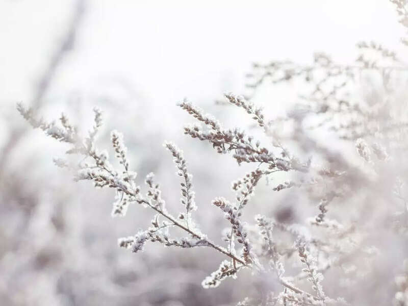 Winter Quotes Ten Beautiful Quotes To Begin Your Winter With