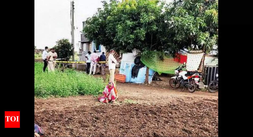 Maharashtra teen beheads sister, 19, for eloping