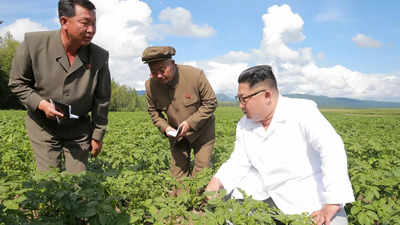 Prices of food, daily necessities estimated to be spiking in North Korea