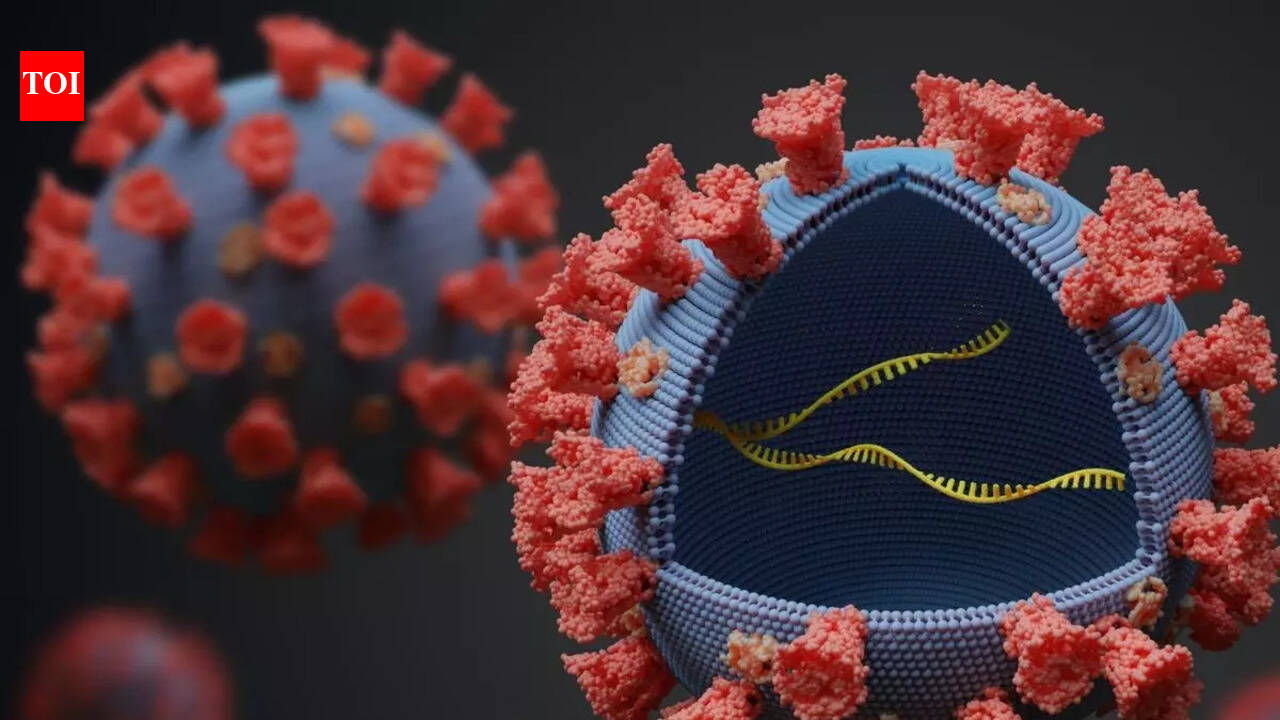 Coronavirus Omicron Variant versus Delta Variant: How to differentiate ...