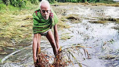 Odisha govt seeks crop damage report post Jawad showers