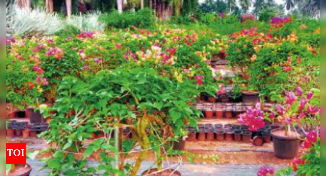 AP Exotic, indigenous varieties draw plant lovers, researchers to