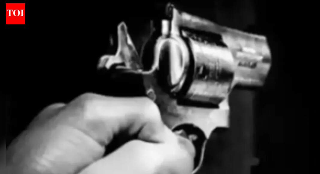 Indian-origin gas station owner shot dead during robbery in US - The ...