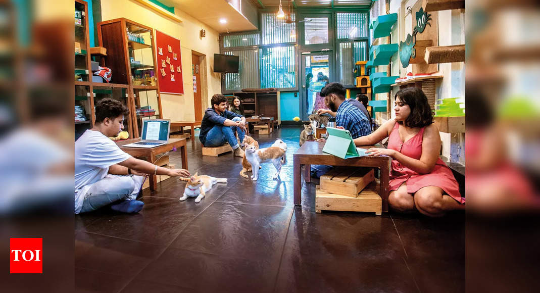 Co-working spaces: Here’s how Mumbaikars are grabbing paw-sitivity at work