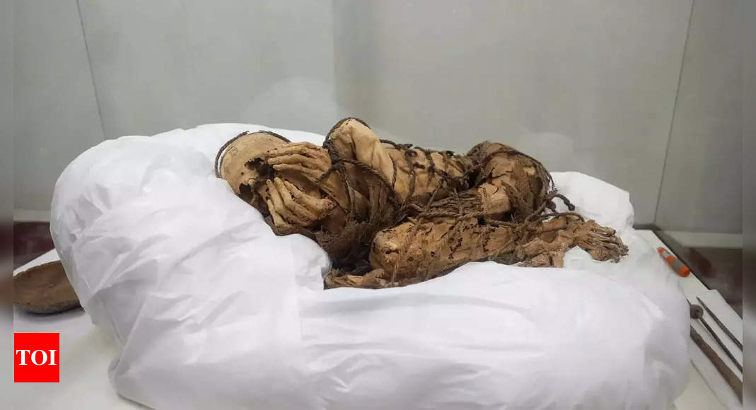 Ancient Peruvian mummy goes on show at Lima museum