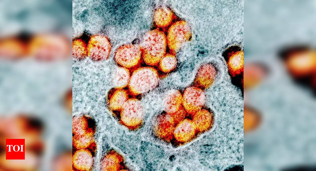 Covid19 podcast A ‘stealth’ version of Omicron