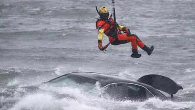 Coast Guard swimmer pulls body from car above Niagara Falls