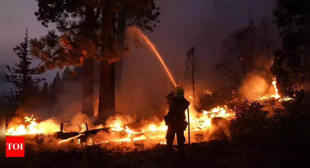 Father, son charged with starting huge California forest fire