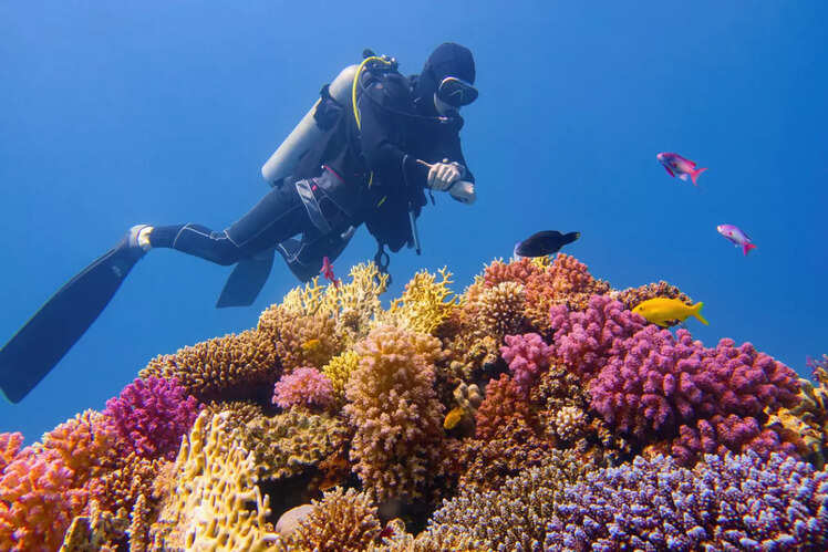 Explore Australia's Great Barrier Reef