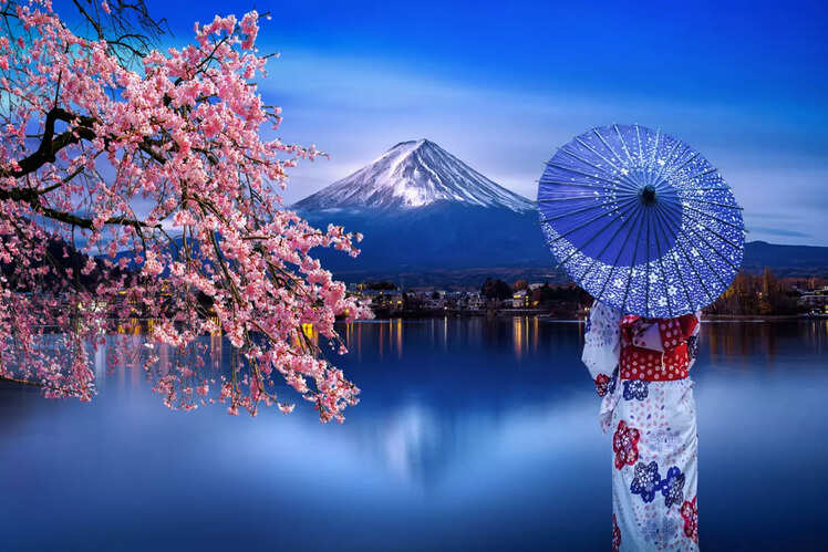 Visit Japan during Cherry Blossom blooms