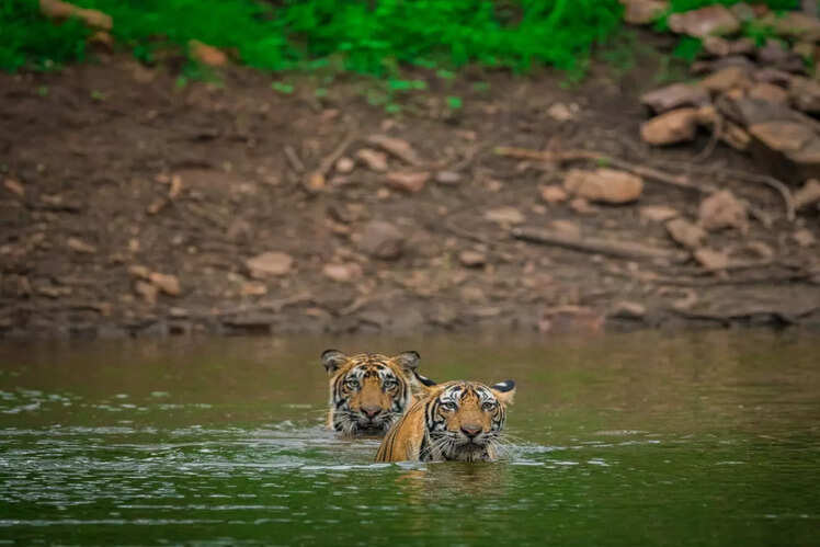 Sundarbans, West Bengal