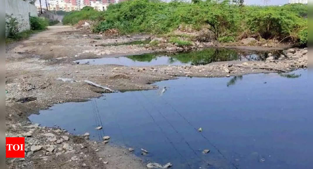 Chennai rivers still being fed raw sewage