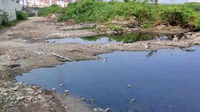 Chennai rivers still being fed raw sewage  Chennai News - Times 