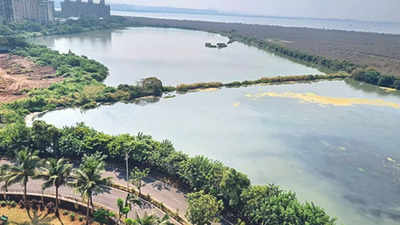 Navi Mumbai: Act on wetlands SOS on golf course, Centre tells state