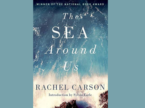 Five Great Books About the Sea Book Marks