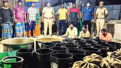 Tamil Nadu: 750kg sea cucumber worth Rs 50 lakh seized