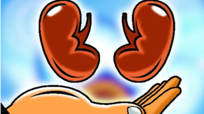 Woman gifts liver, then kidney to her ailing son in Bengaluru