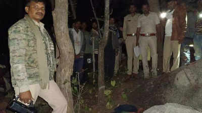 Woman killed by sloth bear in Gujarat's Dahod
